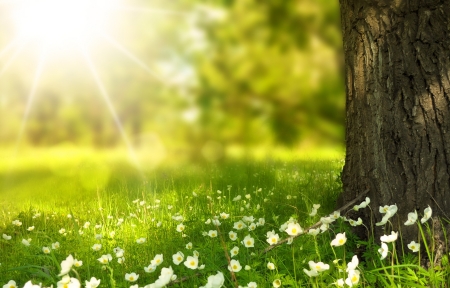 现代简约客厅装饰设计方案