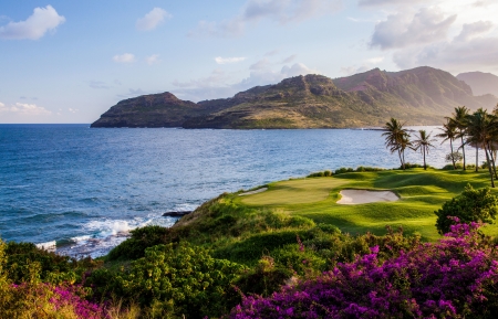 家居清洁保养工具用品